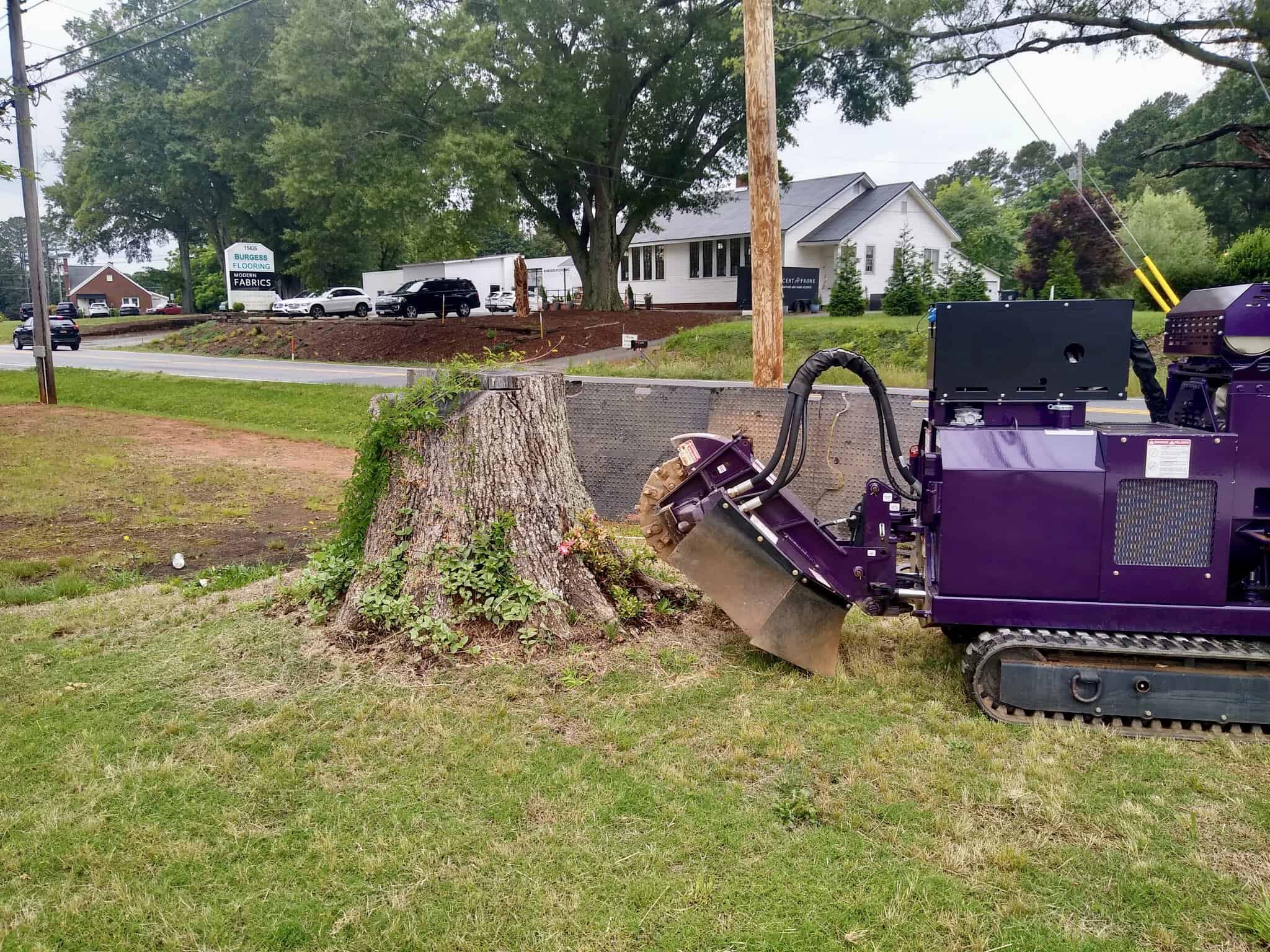 Gallery - Greg's Stump Grinding